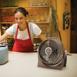 FAN- 10" FLOOR-DESK-2 SPEED - Image 4