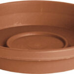 20-51008c_8in_terra_terra_cotta_saucer_-_copy.jpg