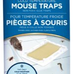 GLUE TRAP #1