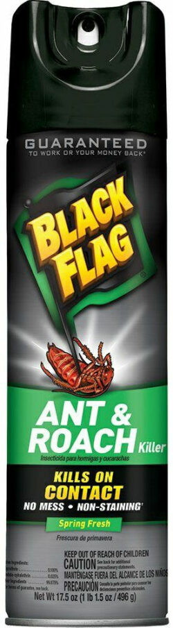 black-flag-home-perimeter-insect-control-hg-11033-1-64_1000.jpg