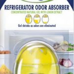 mister_magic_refrigerator_egg.jpg