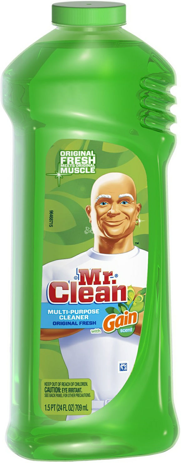 MR.CLEAN 28 oz ALL PURPOSE ORIGINAL w/GAIN Lee Distributors