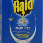 pmoth-raid_r_1.jpg