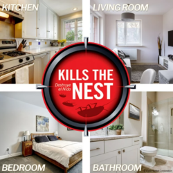 COMBAT ROACH KILL - 6 STATIONS SM & LG ROACHES ( # 99892 ) - Image 3