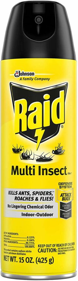 RAID MULTI INSECT KILLER 15oz INDOOR/OUTDOOR