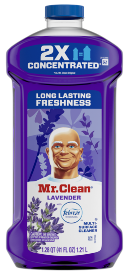 MR. CLEAN # 10729