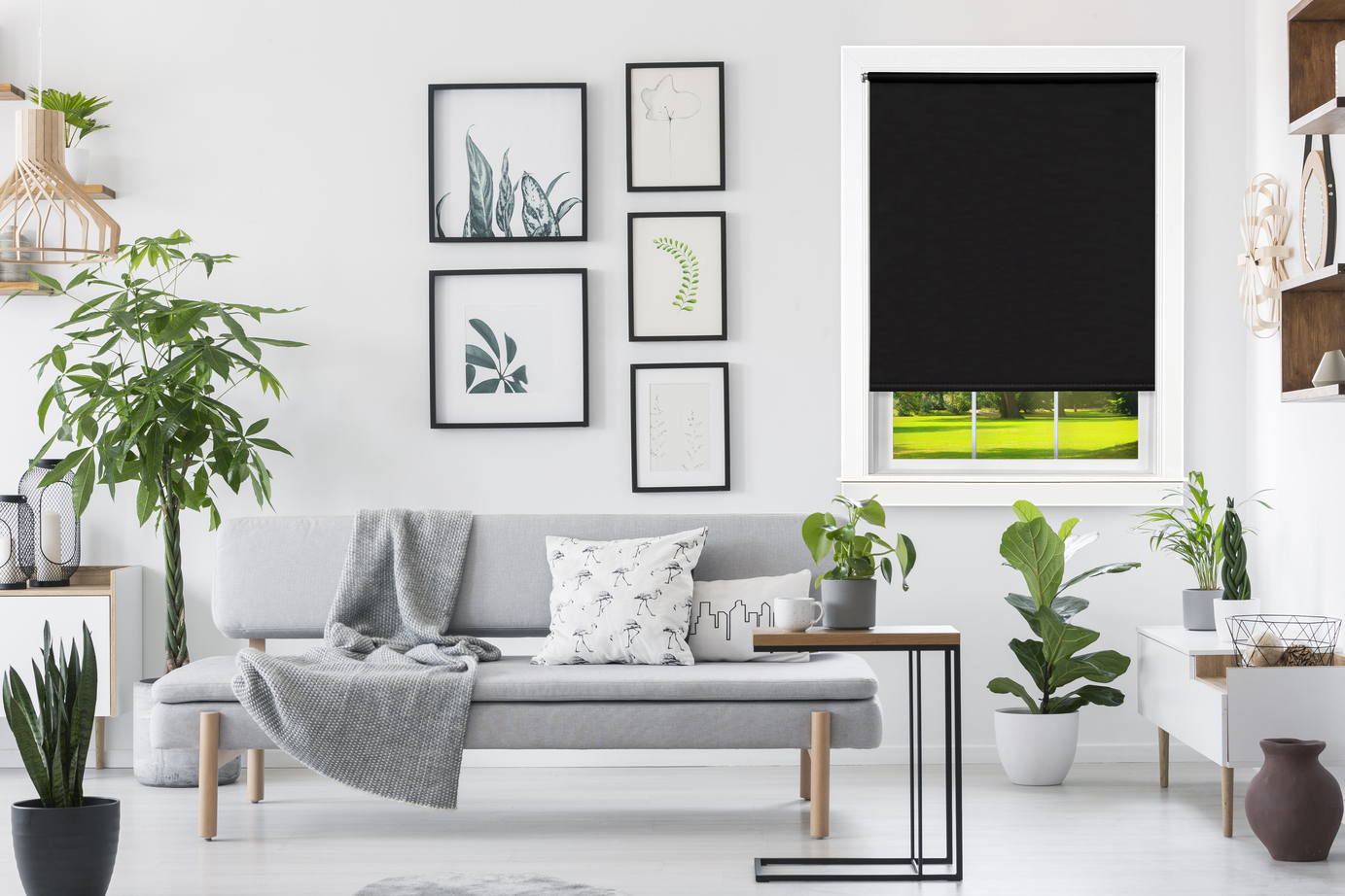 WINDOW SHADE TEAR DOWN 55×72″ LIGHT FILTERING BLACK Lee Distributors