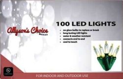 100 LED LIGHT SET- CLEAR  - GREEN WIRE 18'