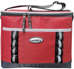 INSULATED COOLER BAG - 12 CAN
