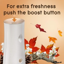 GLADE AUTOMATIC SPRAY 6.2oz  STARTER KIT-  CASHMERE WOODS - Image 3