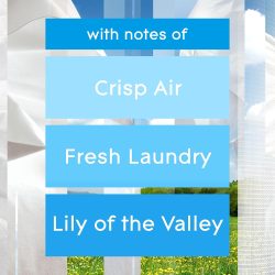 GLADE AUTOMATIC  SPRAY 6.2oz  STARTER KIT-  CLEAN LINEN - Image 6