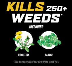 WEED KILLER-ORTHO CLEAR 24oz - Image 3