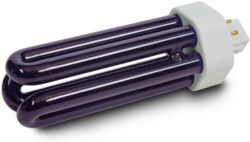 DYNA TRAP REPLACEMNT BULB 1 PACK*